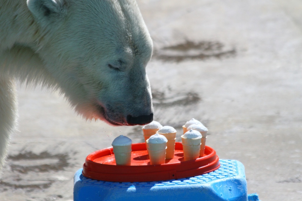 ������� ��������CAMC9479.jpg